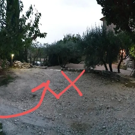 Le Laurier Au Coeur Du Mont Ventoux *